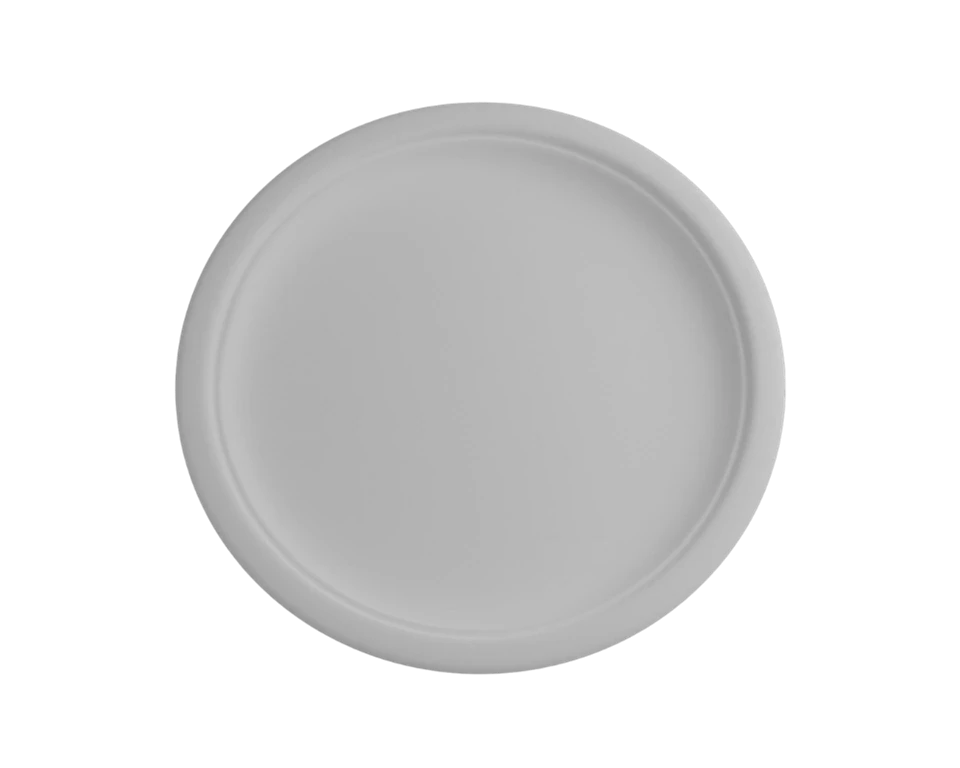 Biodegradable Party Plates price